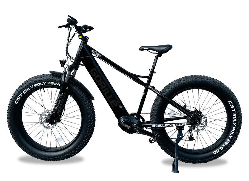 Gorille cycles, Evann Ribas, Fat Bike, Sahara, 2cv 4x4, sable, VTT, Vélo, Expédition, Raid, autonome, Hors-piste, Mauritanie, Tenoumer, Tmeimicaht, Tichit, Crocodiles, assistance électrique, traversée solitaire, recharge batterie, erg, reg, El Mrayer, Ouarane, Ijafen, Ghallaouiya, Maqteir, Taskass, voyaghe, trans-Sahara, traversée du Sahara, record, désert, guelta, puits, eau, dunes, aklé, Gorille cycles, GPS, guide, livre points GPS, navigation, orientation