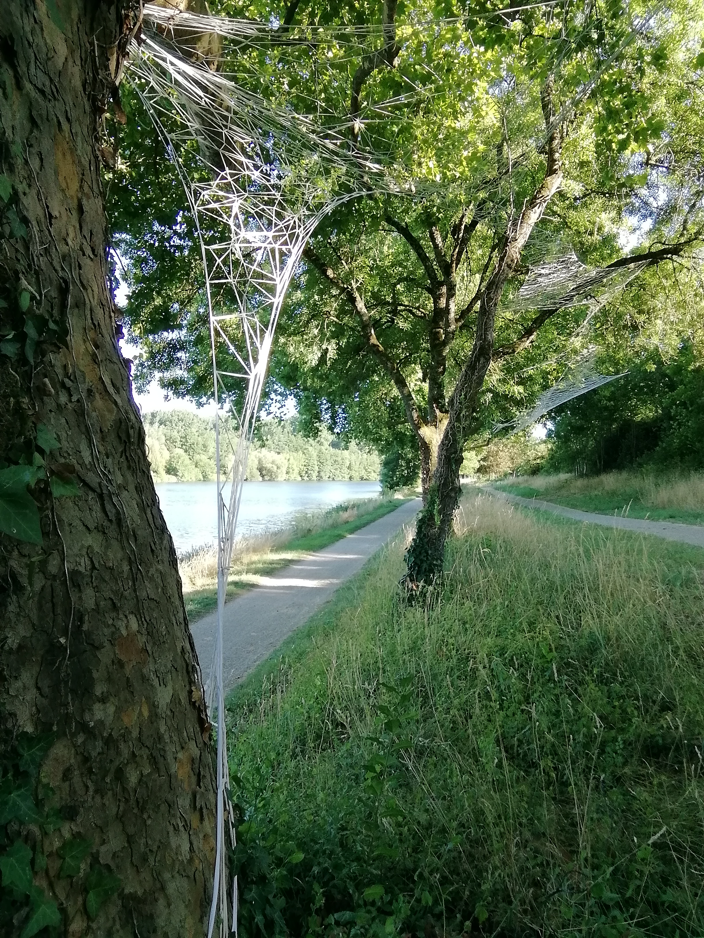 Img 20220709 190840