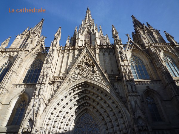 5cathedrale