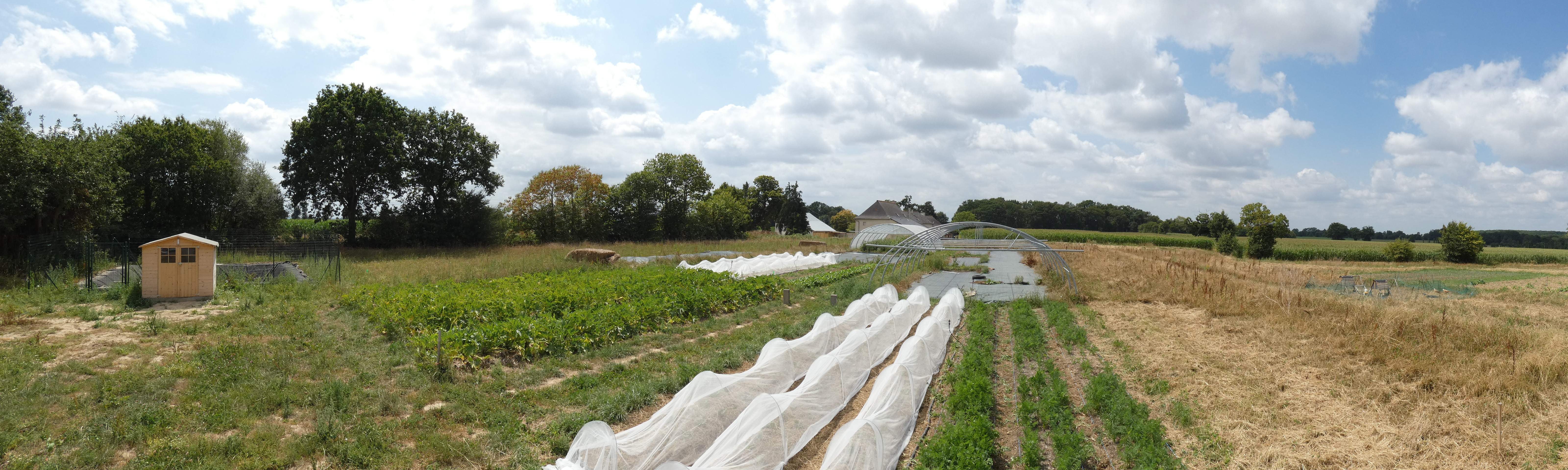 Panoramique ferme