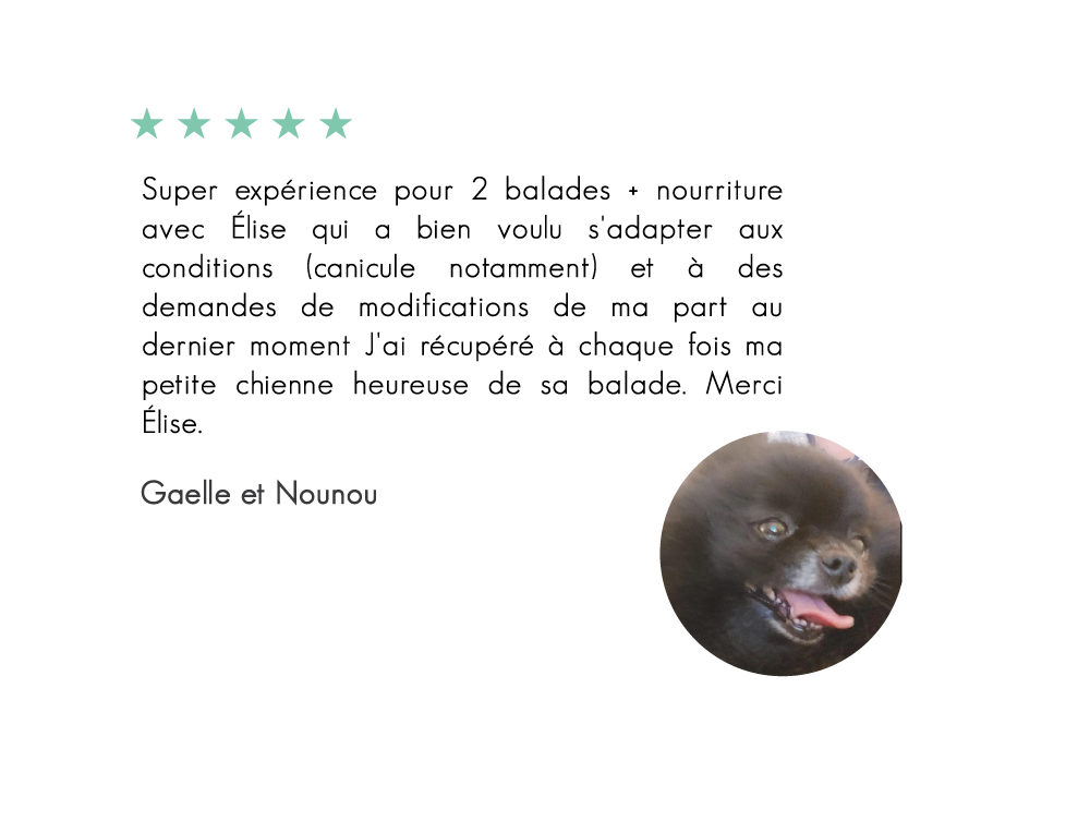 Nounou