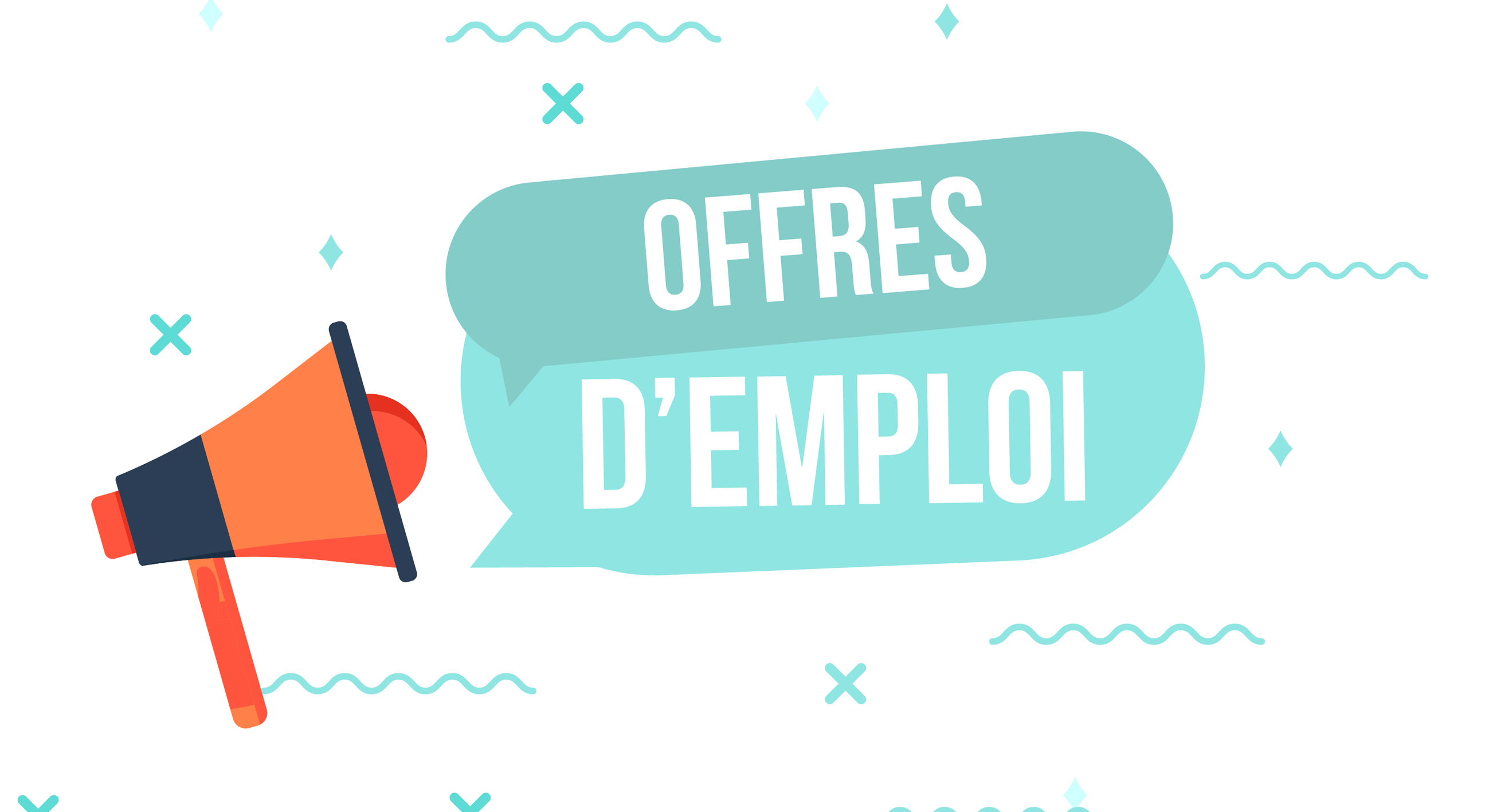 Offre d'emploi (41)