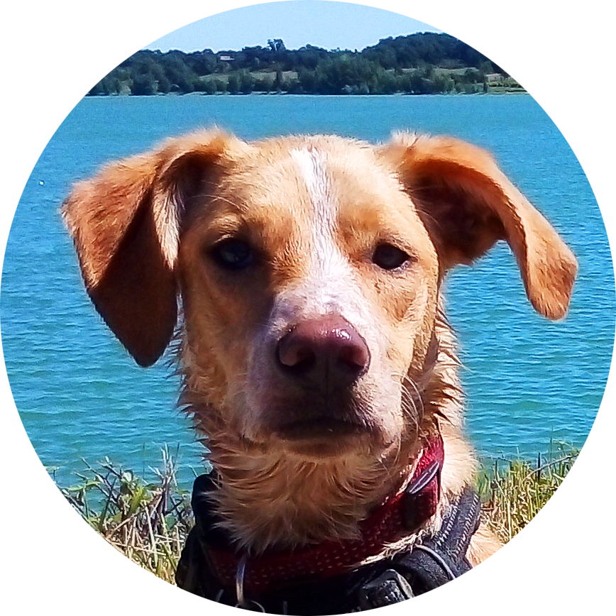 Mochi de Happy Canin
