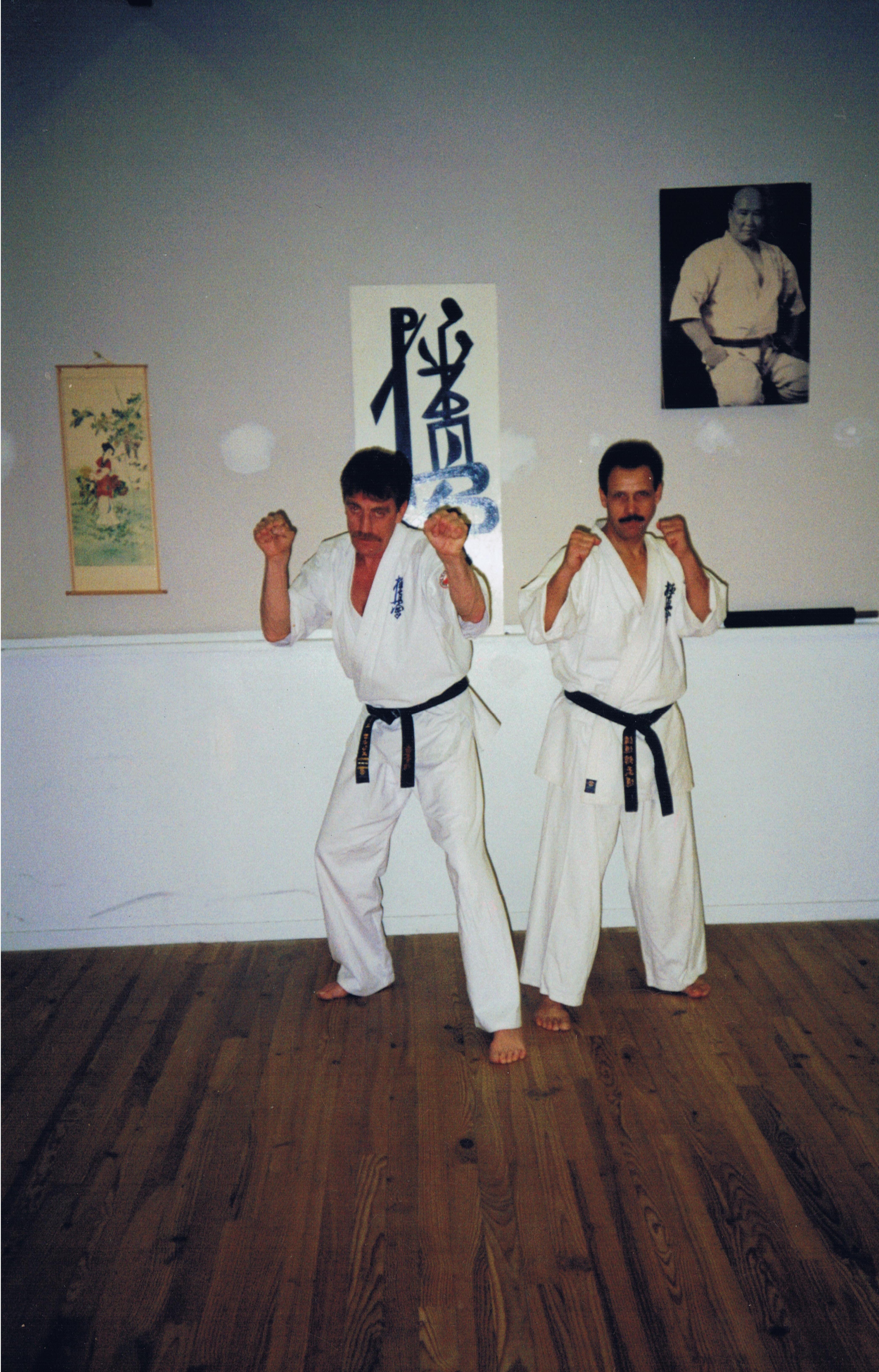 Image 6 