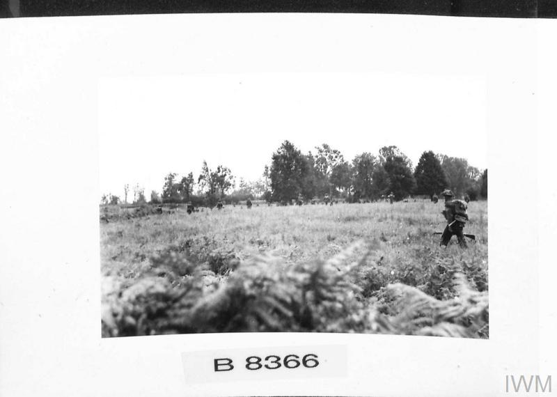 Large b 008366 1