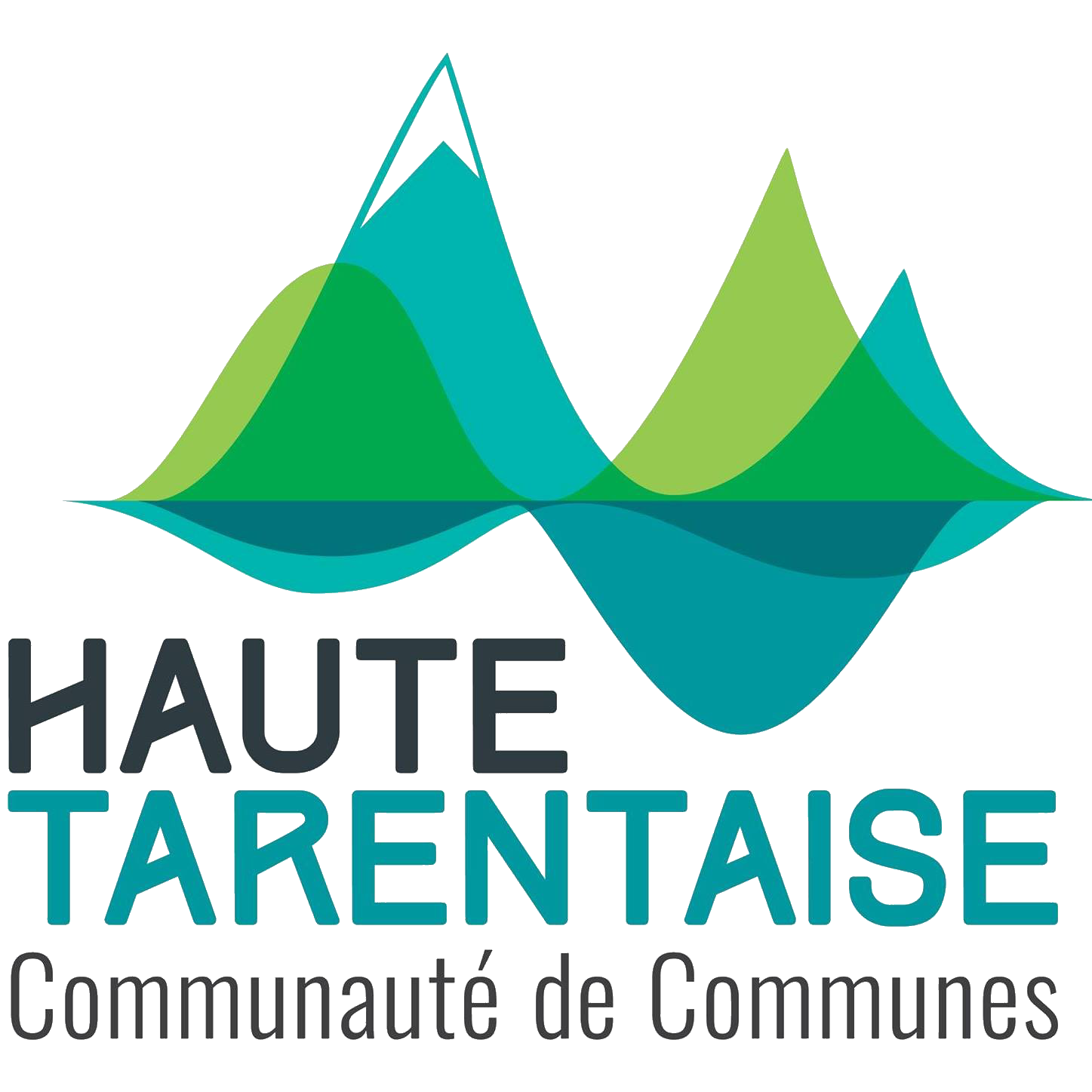 Logo-ccht-carre