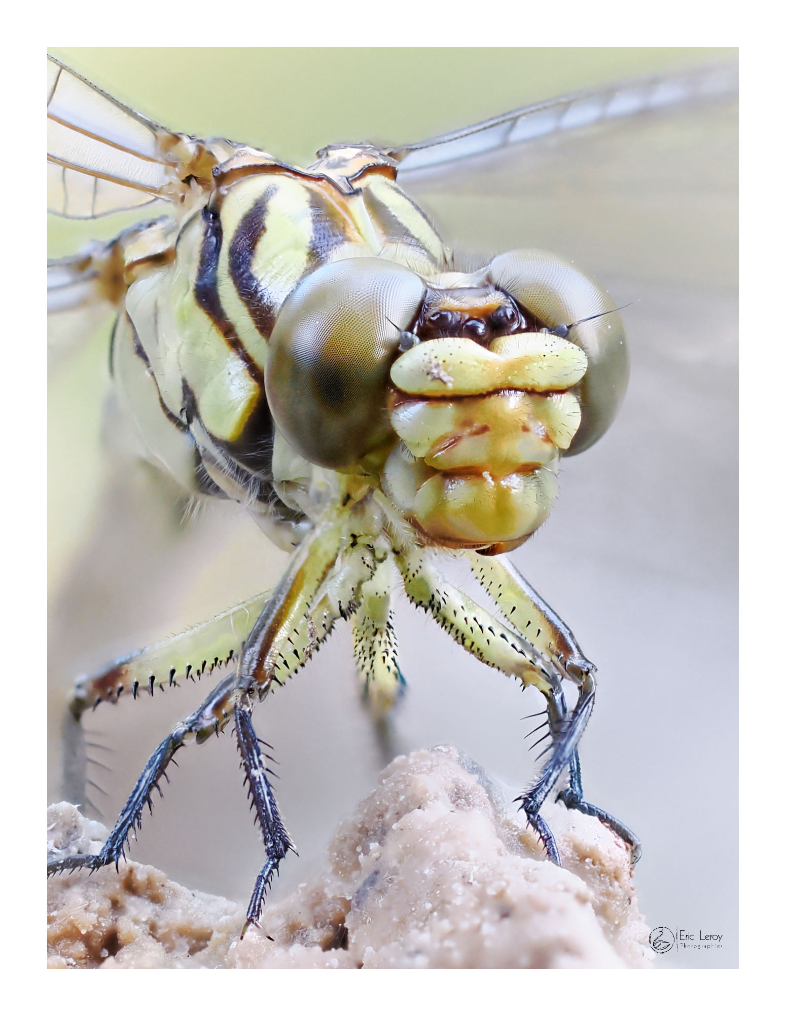 Focus stacking
