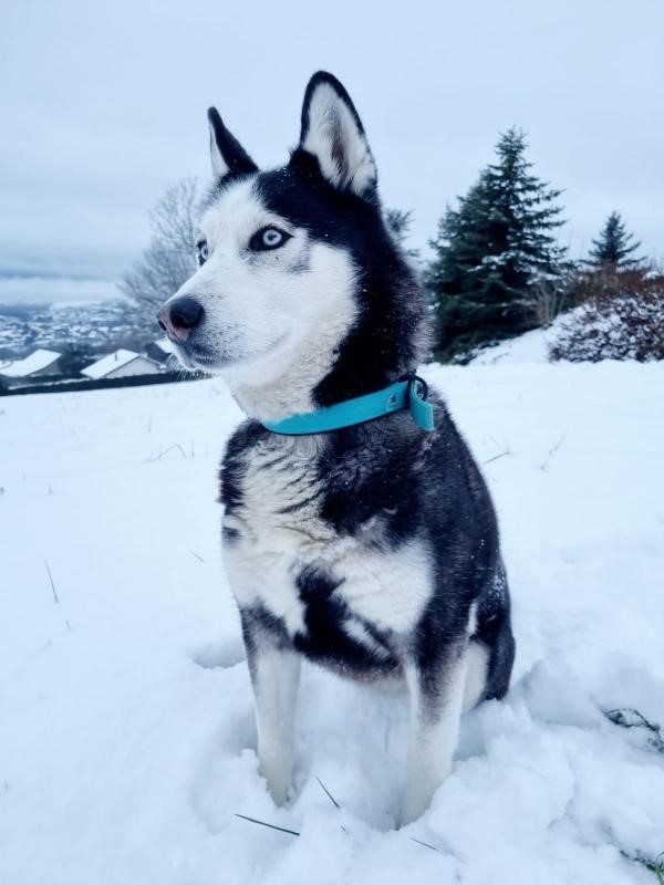 Yuka dans la neige