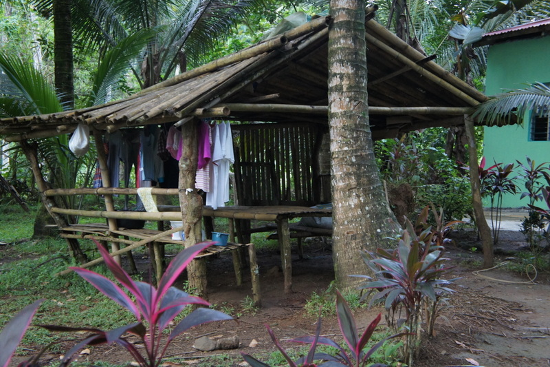 DSC01768-001