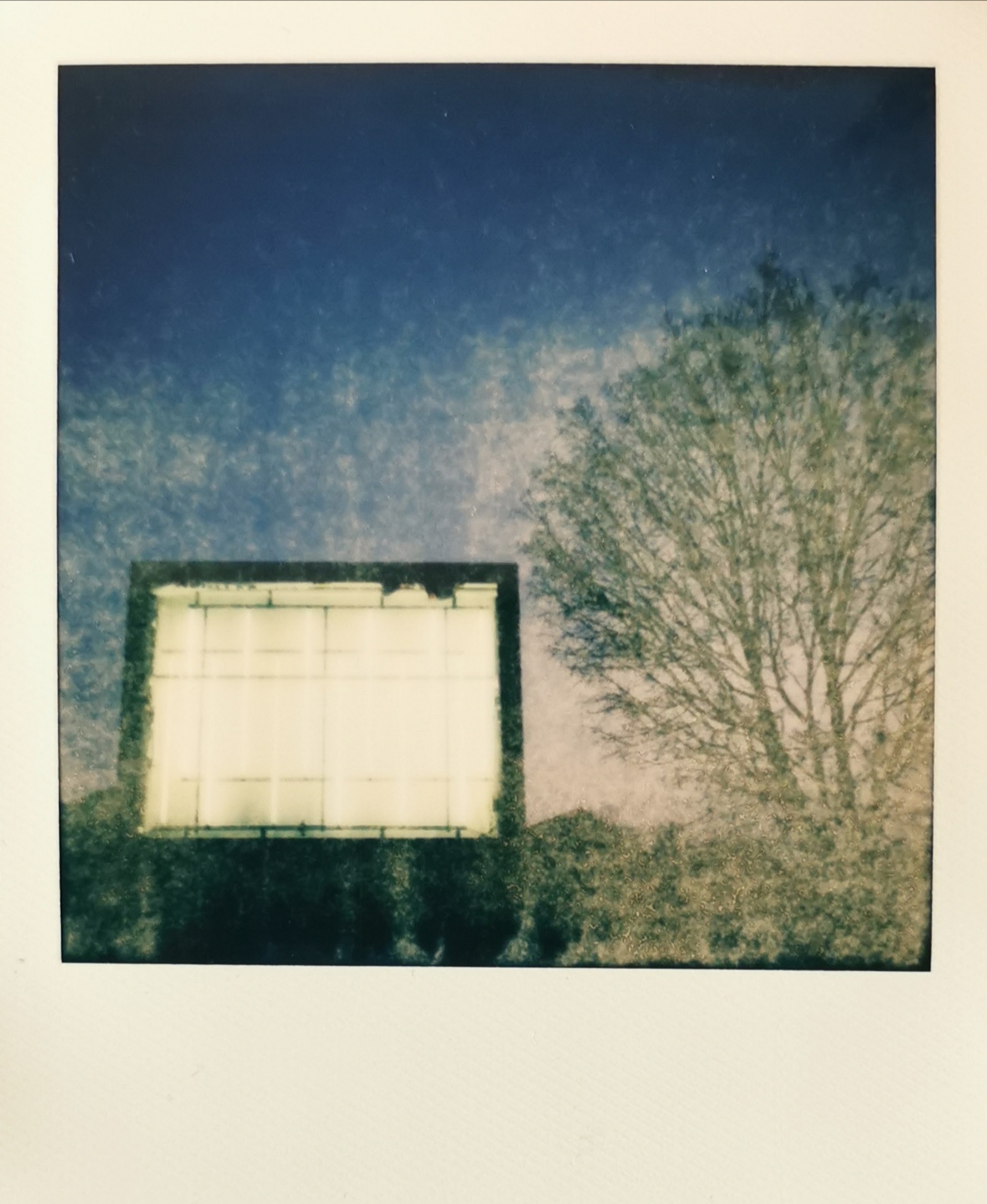 Pola2