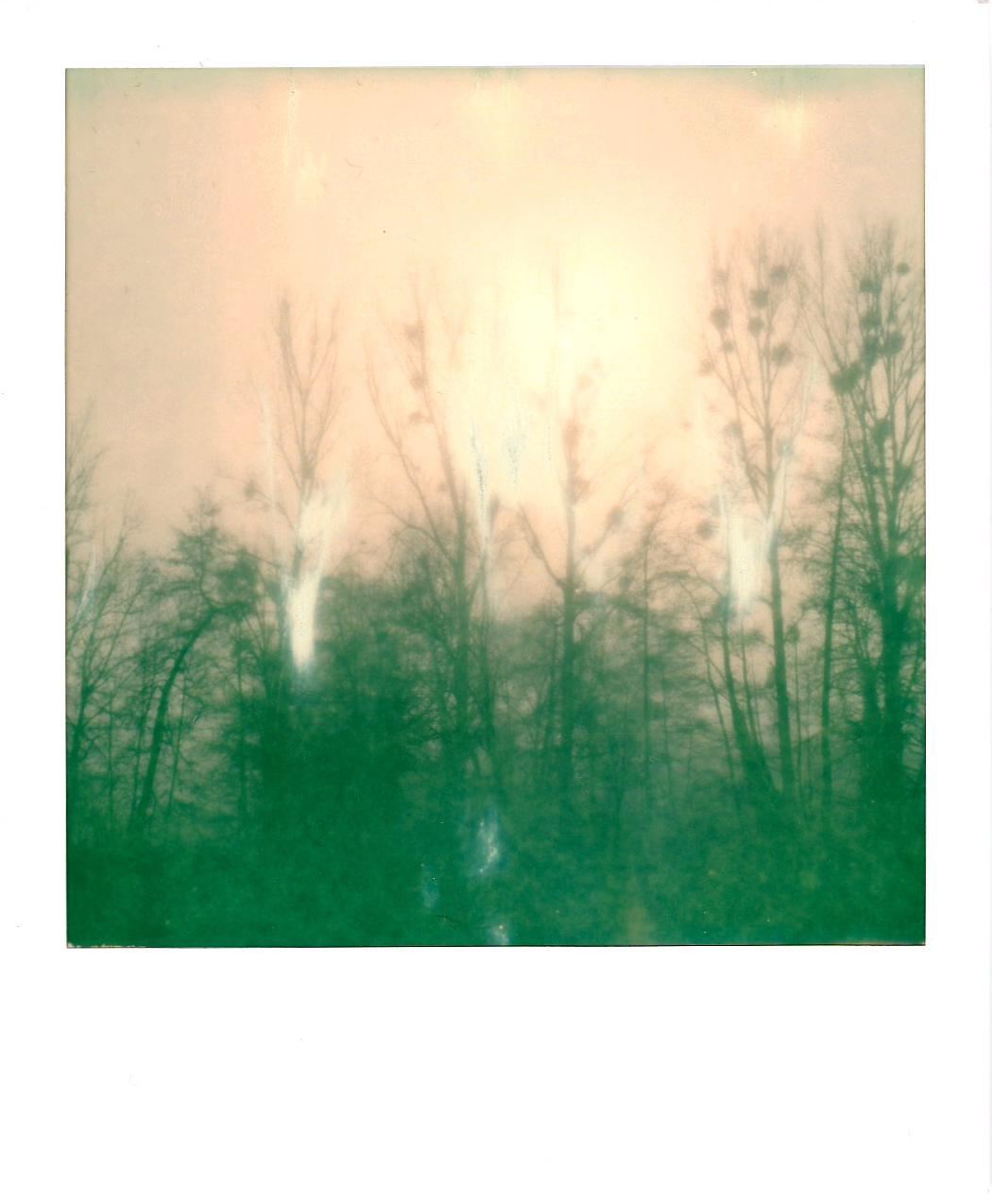 New-year 2