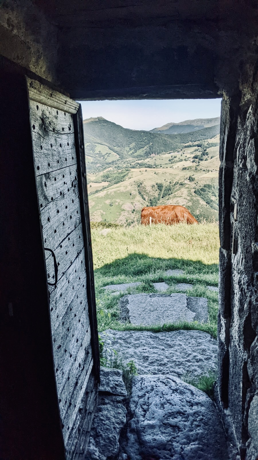 Porte d entree vache 2022