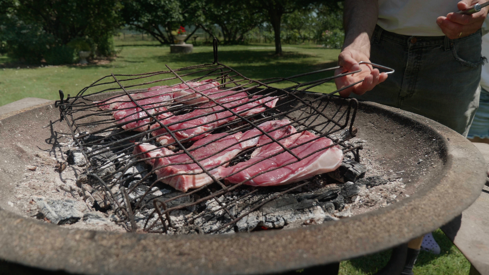 Viande de bœuf et de veau : quelle différence ? 