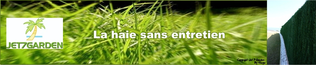 Banniere-herbe