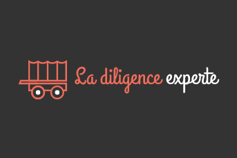 Diligence-Experte