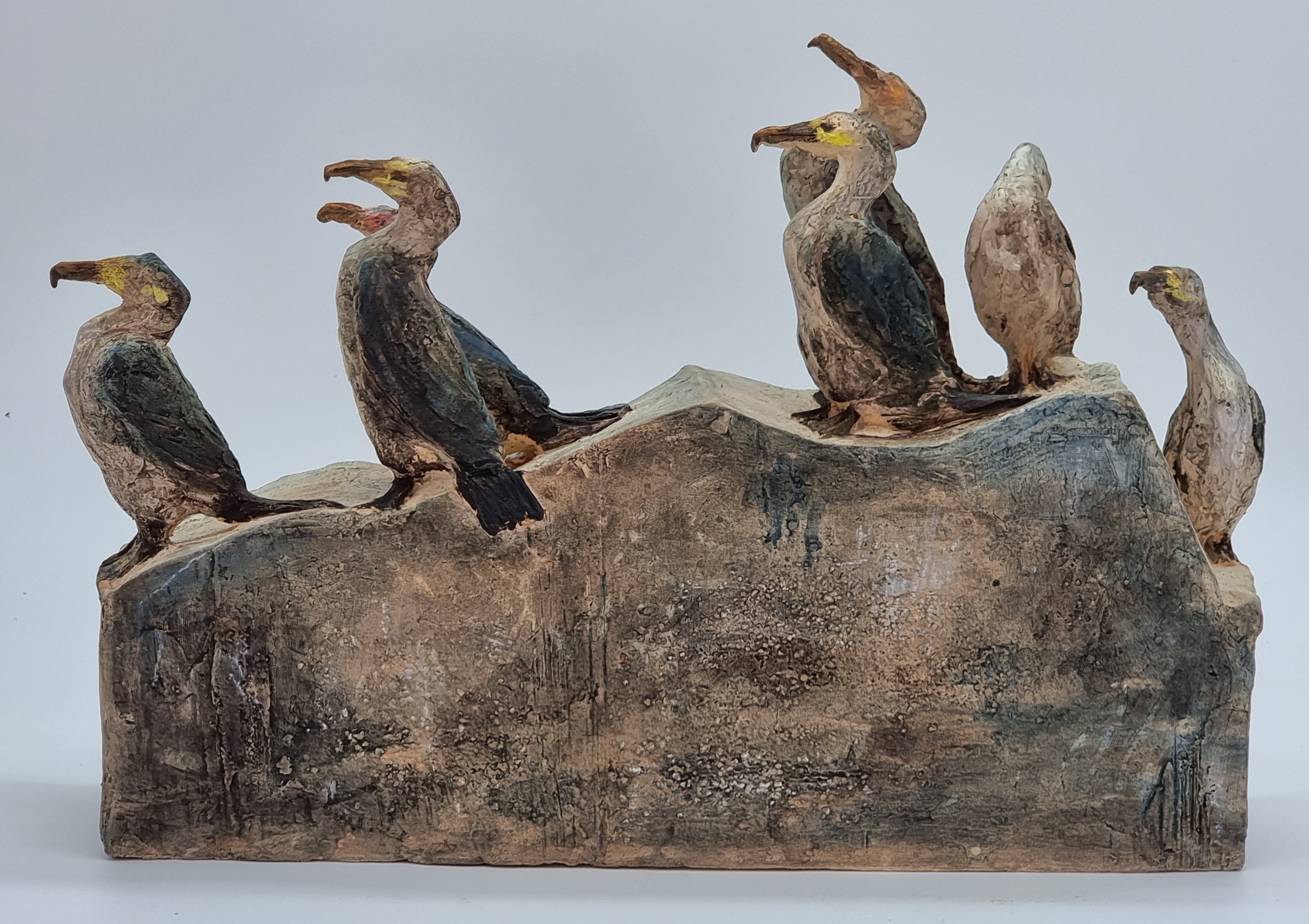 Cormorans 2