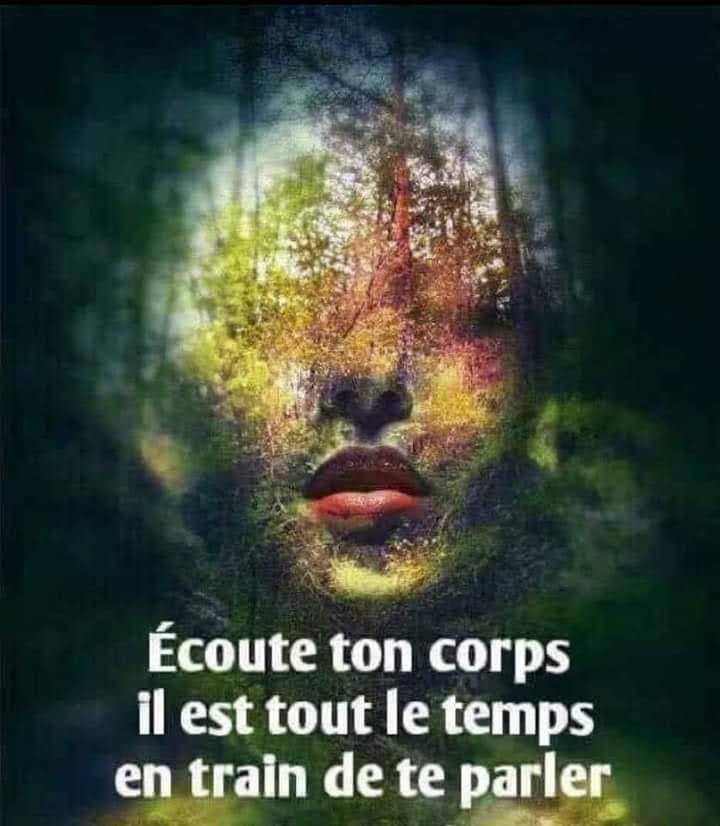 FB IMG 1656500452940-Copie