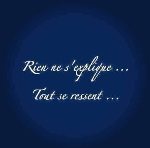 FB IMG 1656961091697-Copie
