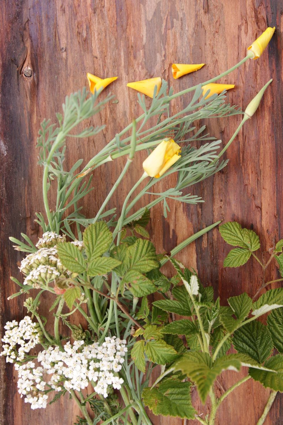 Fleurs