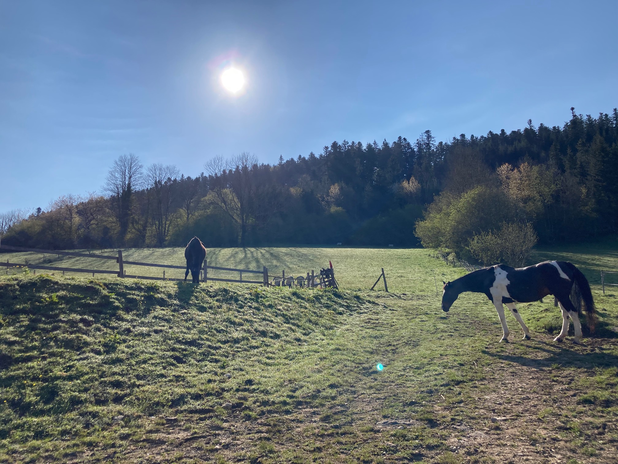 Chevaux1
