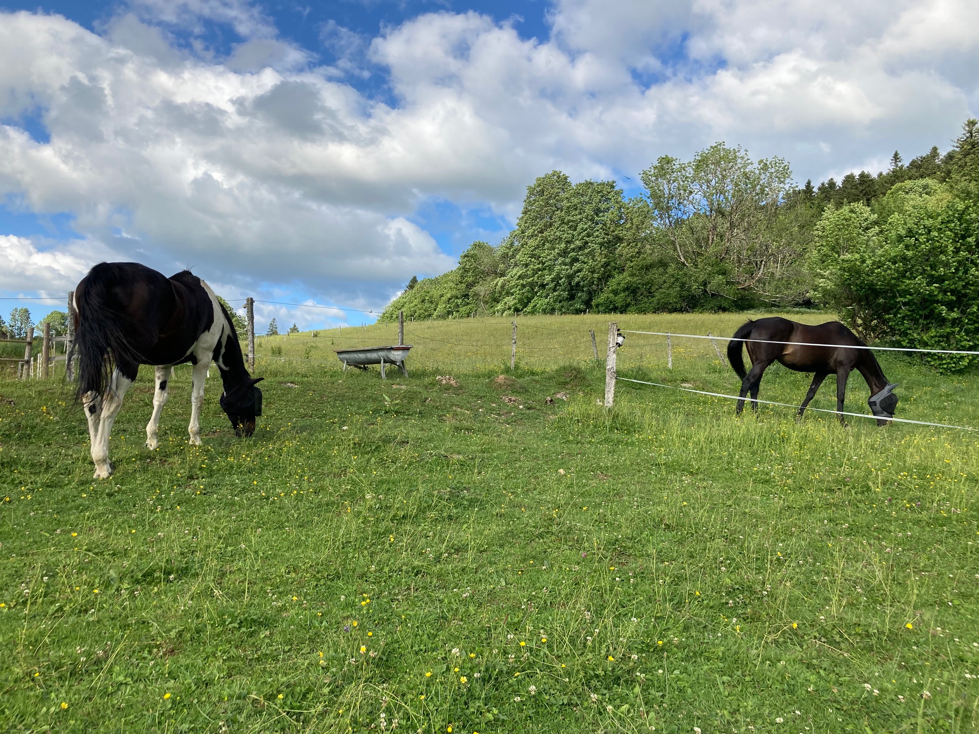Fermechevaux
