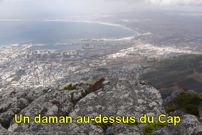Photo001