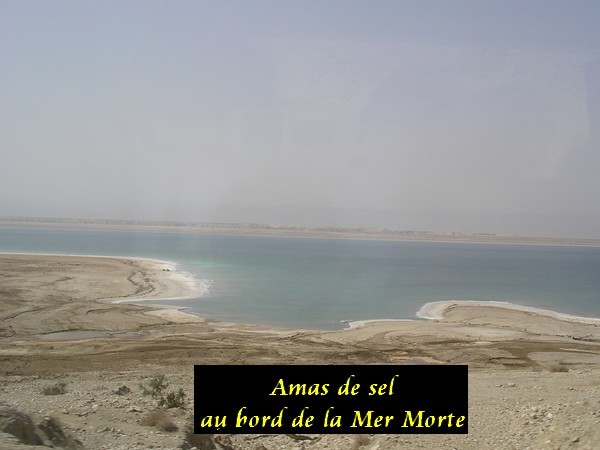 Photo049