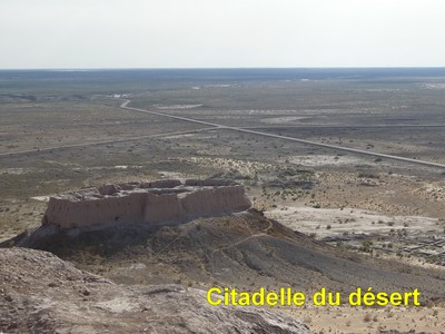 Photo010