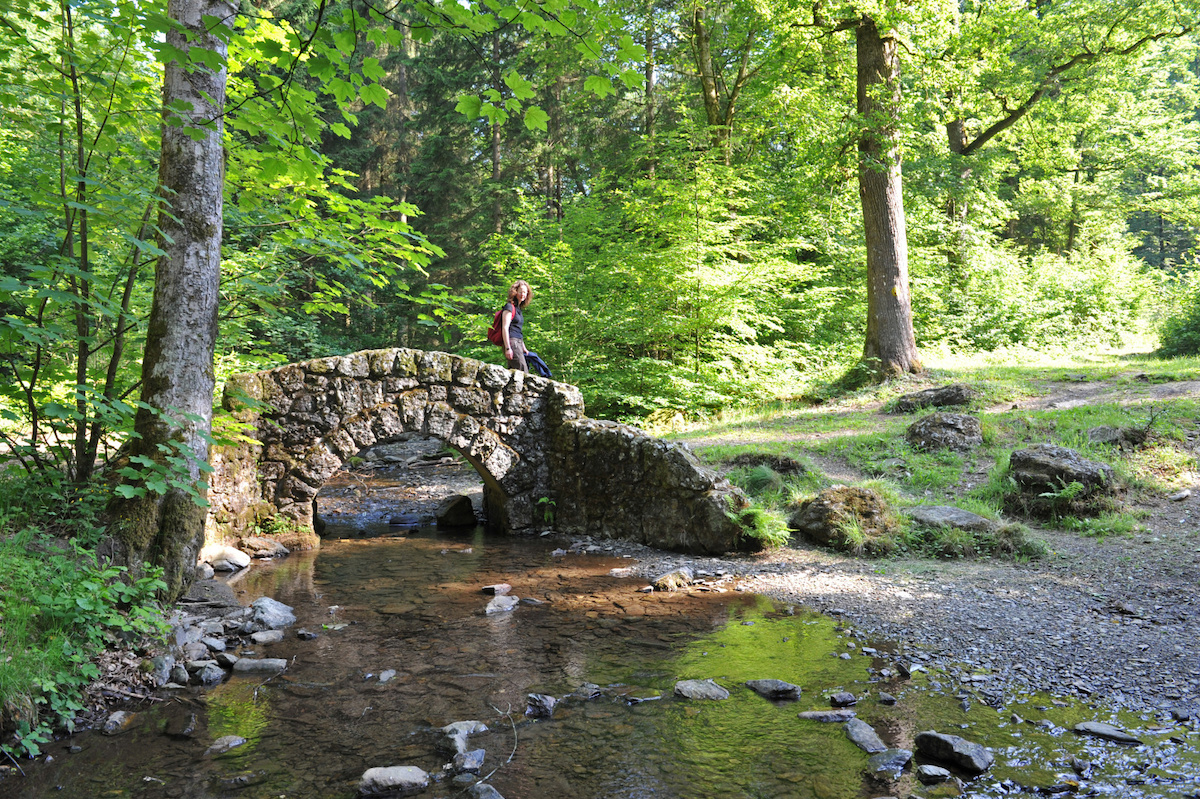 Réserve naturelle La Roche à l'Appel