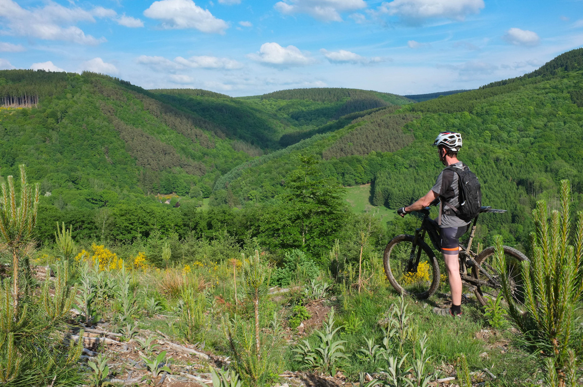 Cycliste en Ardenne