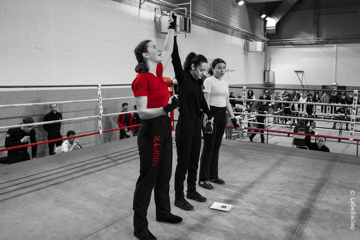 Savate boxe française