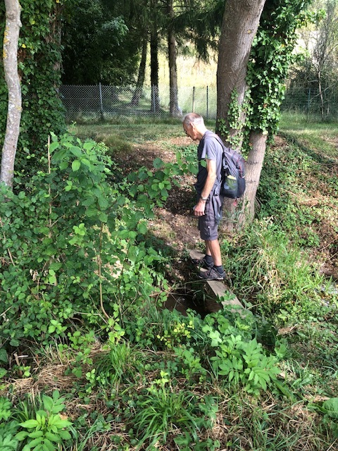 Sortie hebdo louye reco 19 08 2022 daniel