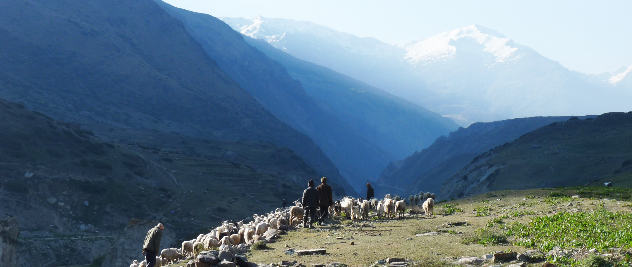 voyage hors du temps :  transhumance dans la vallée du Johar