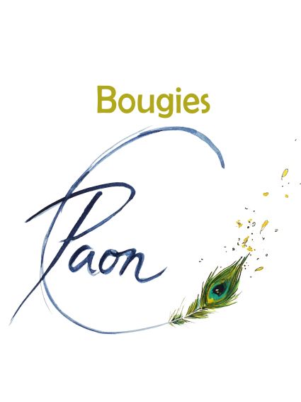 Logo-PAON