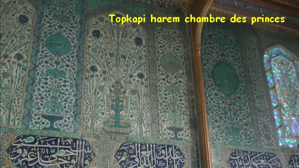 Photo023
