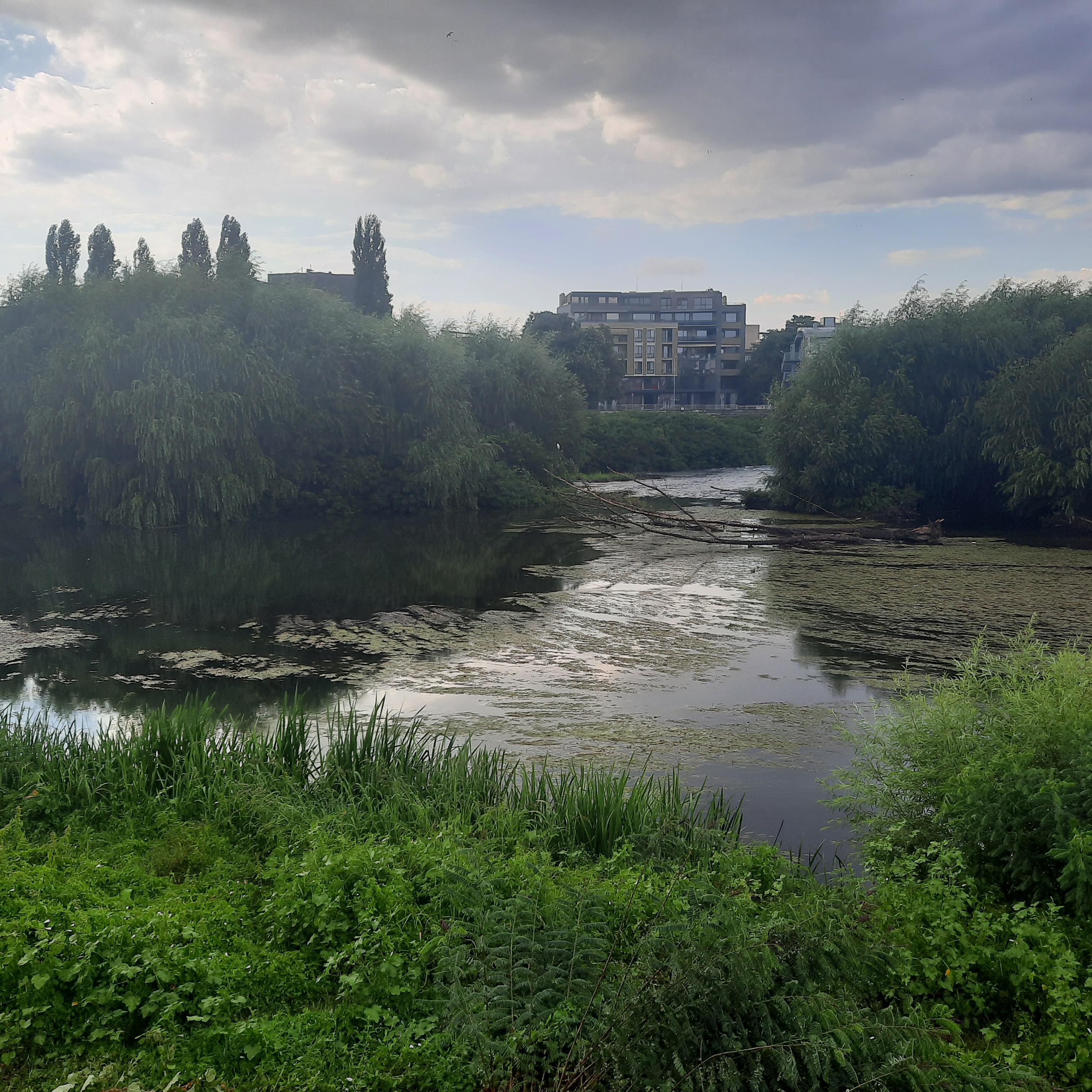 La rivière de Sylvie