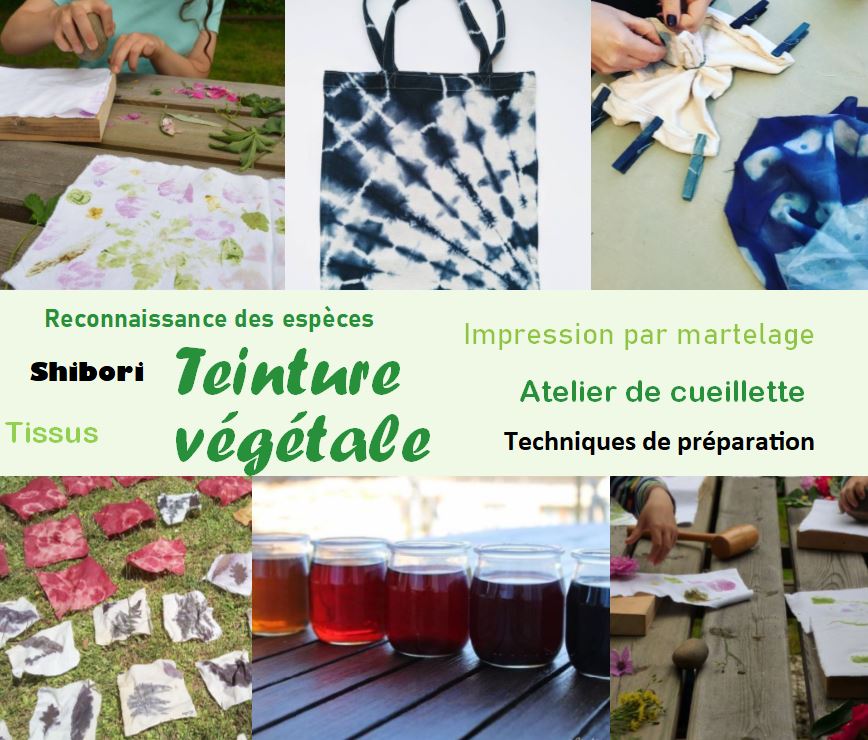 Teinture-vege