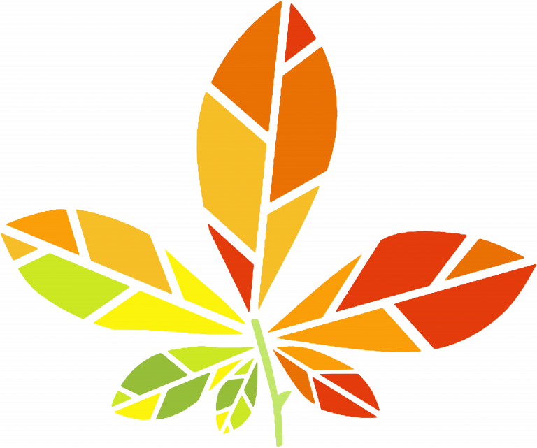 Logo-V2f-768x641