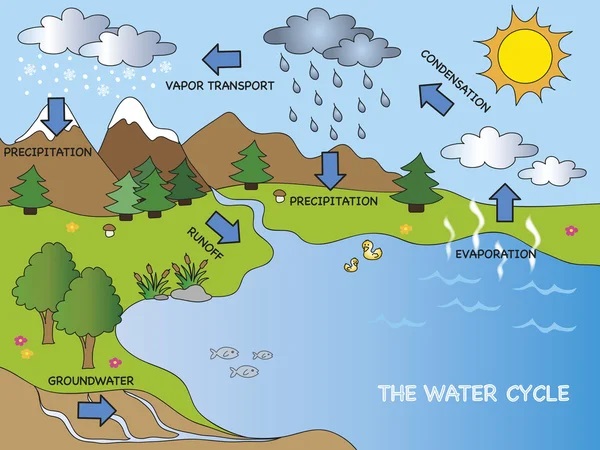 Cycle eau