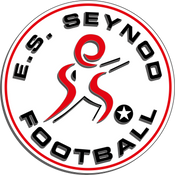 Es seynod logo 3d-3-