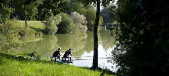 La pêche sur la Somme