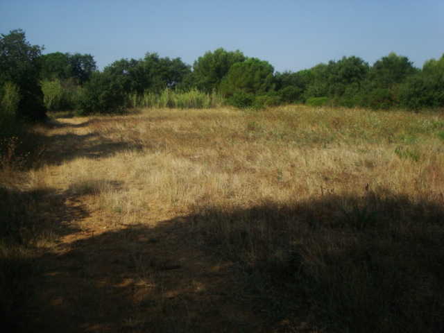 Photos 2020 3155