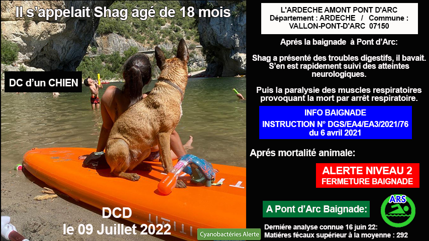 Dc de shag 