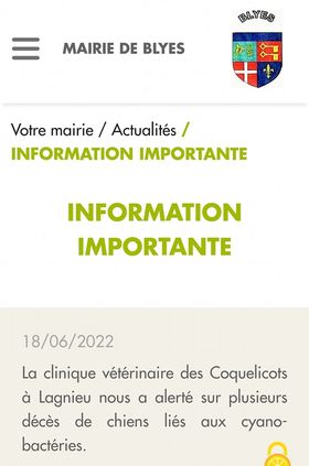 01150 blyes 2 chiens dcd au plan d eau de blyes 18 06 2022