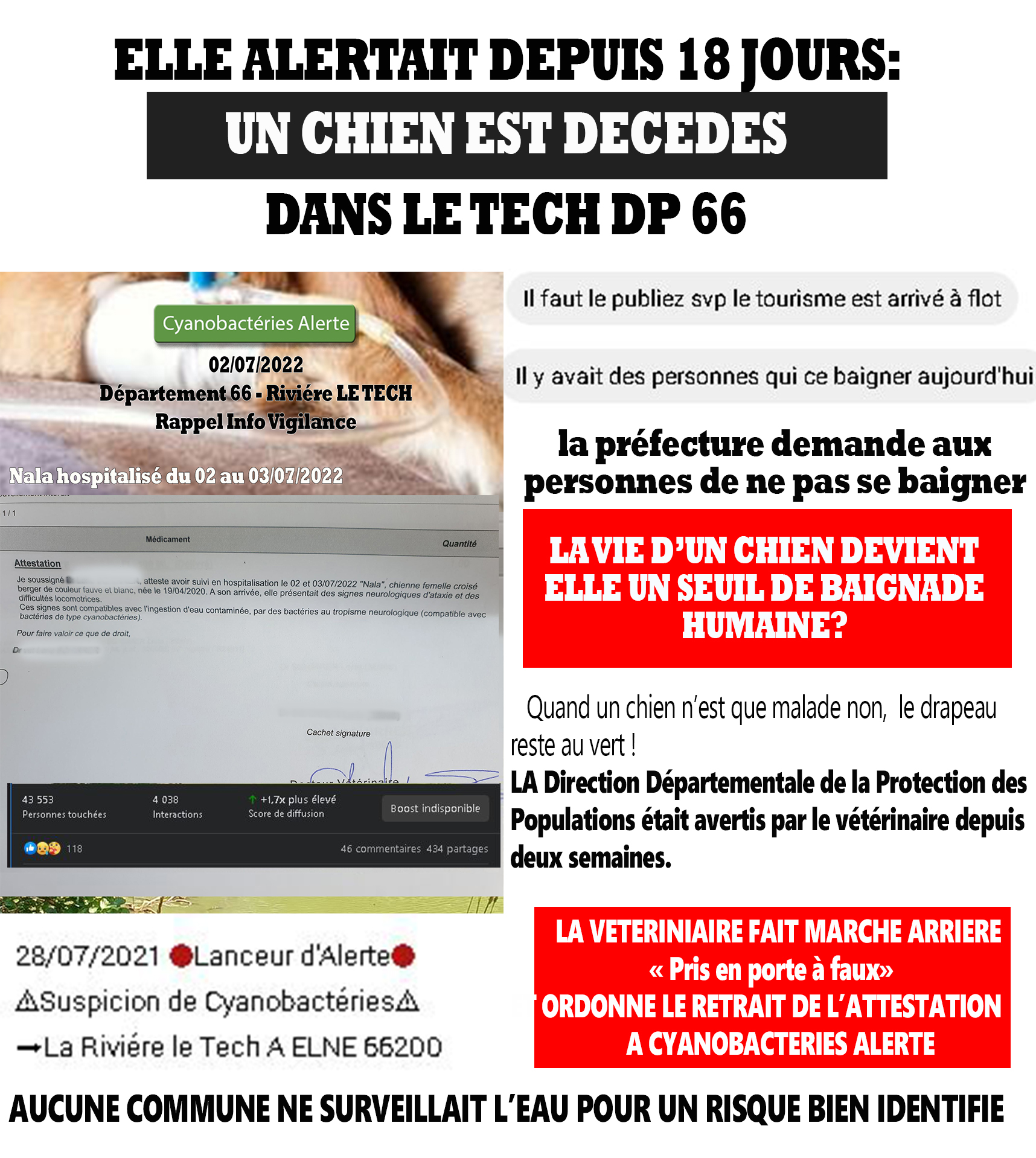 66200 publication mort d un chien dans le tech 
