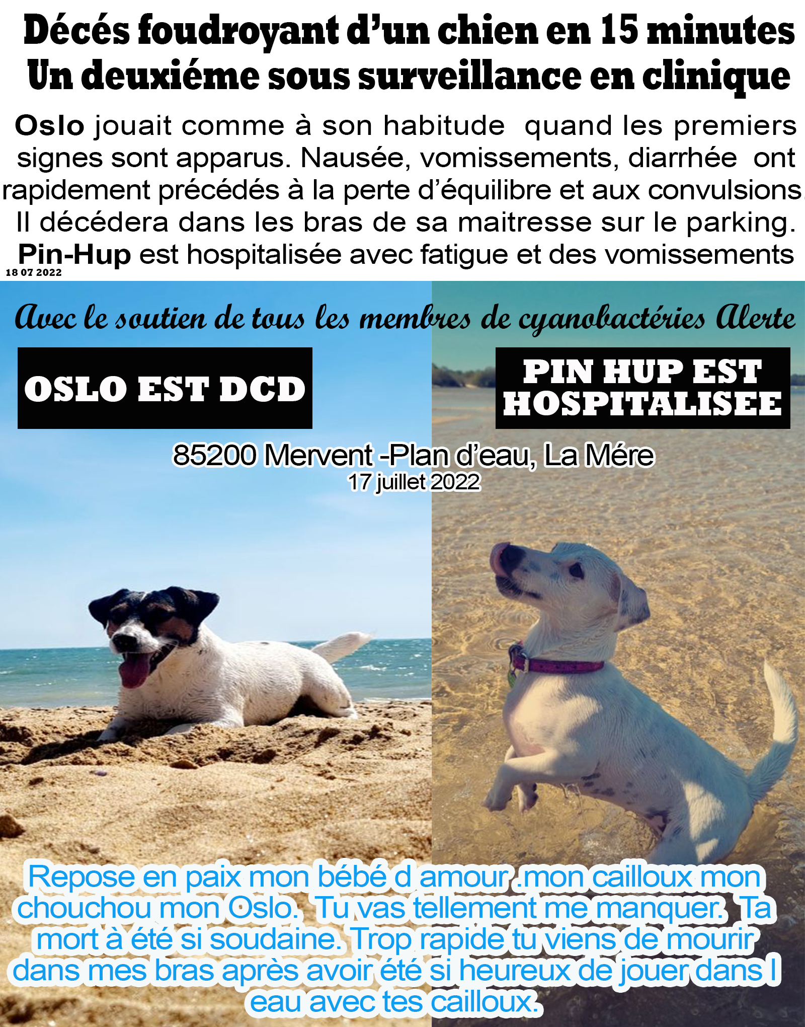 85200 mervent plan d eau la mere publication 2 dc et 1 hospitalise au 17 07 2022