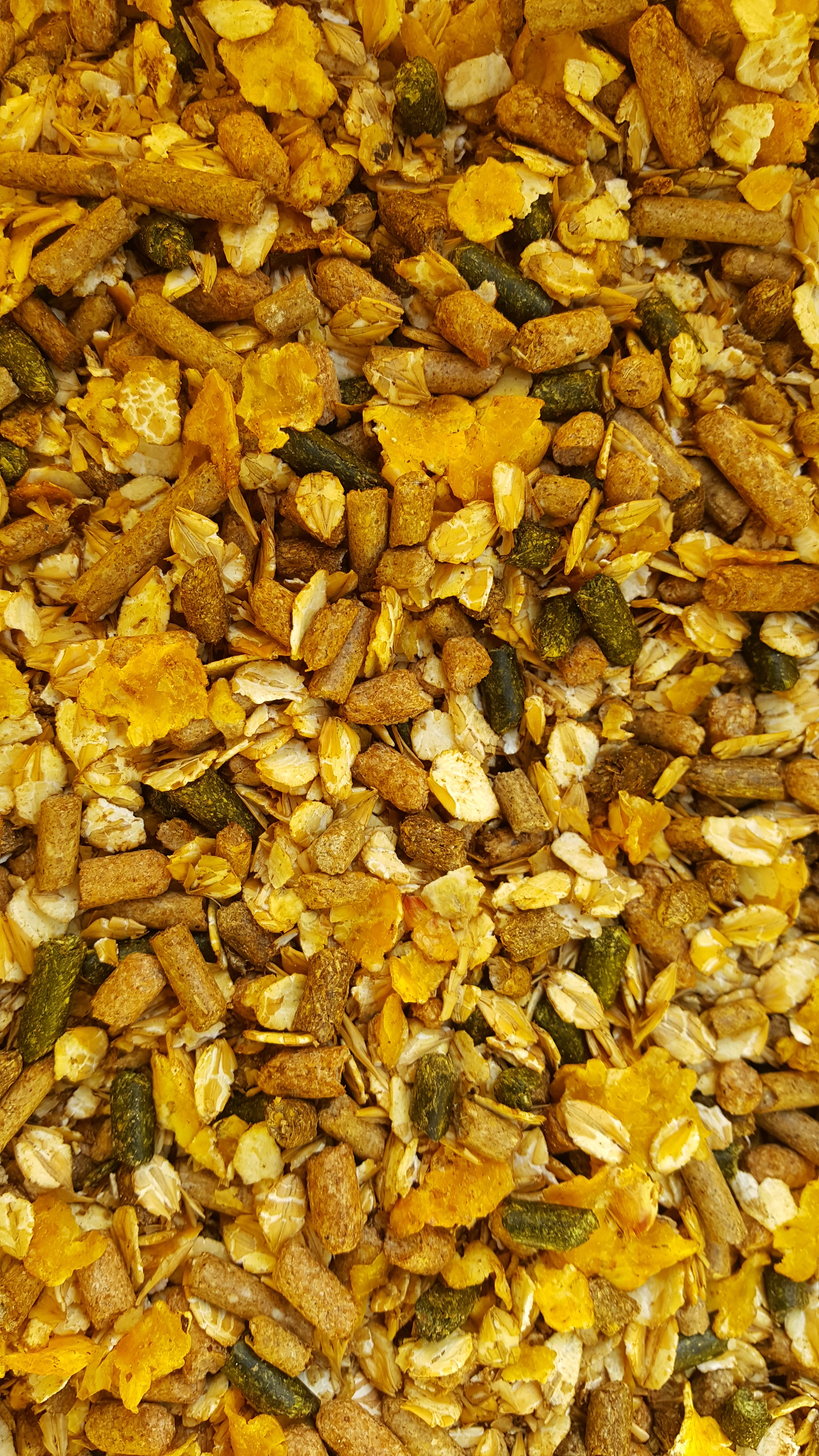 Muesli-O3