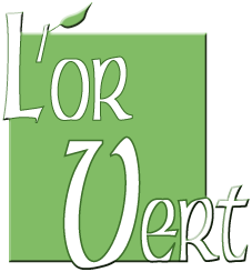 Lorvert-logo