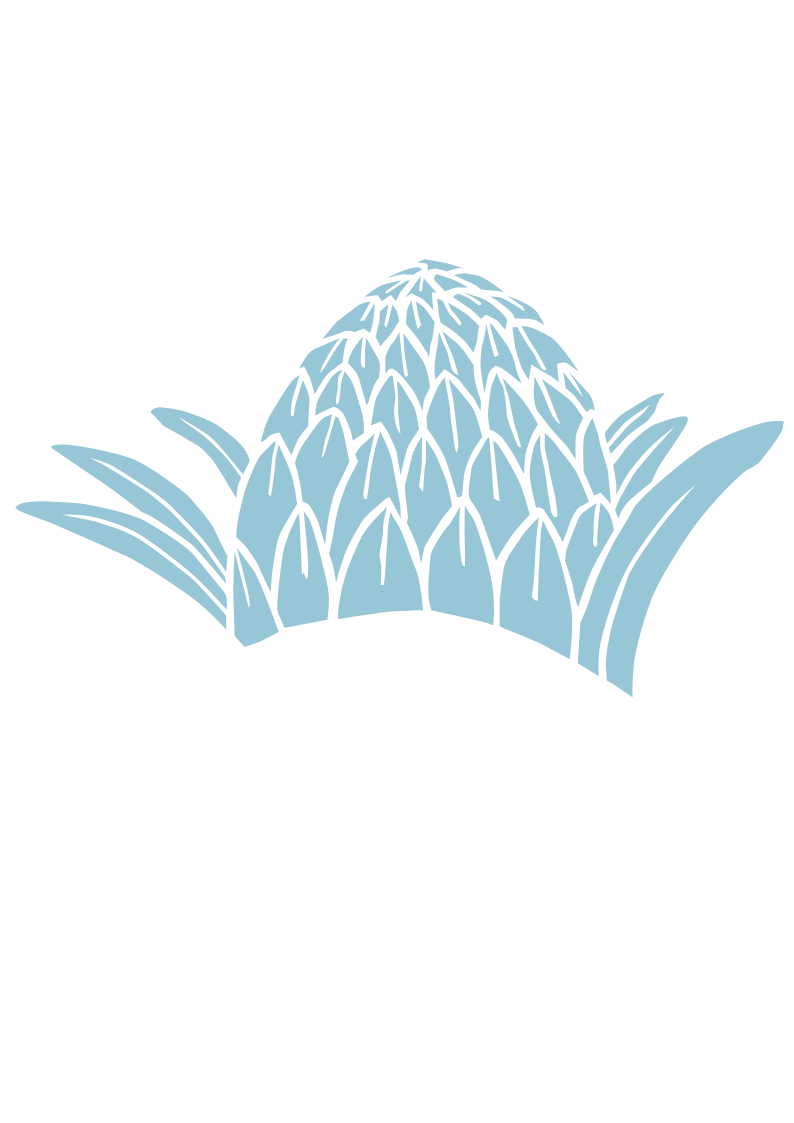 Plante-bleu-1