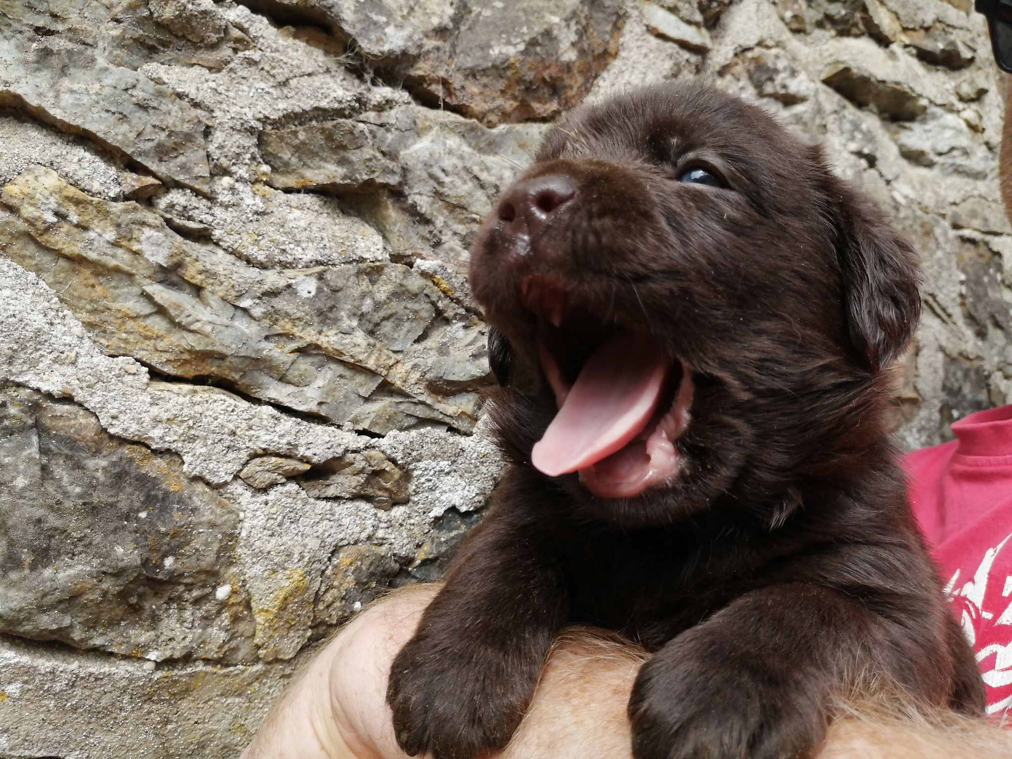 305662498 492455255612064 9064418632046559759 n